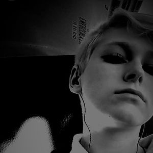 Meet your Posher, Phoenix